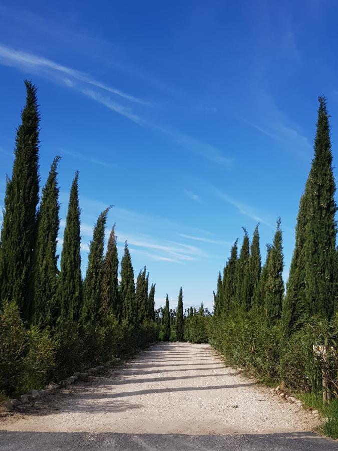Le Mas Saint Jean Mezoargues Luaran gambar